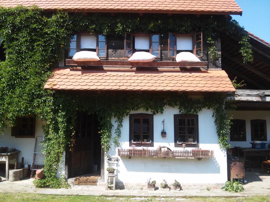 Rural Tourism Family Ravlic Guest House Muzilovcica Exterior photo